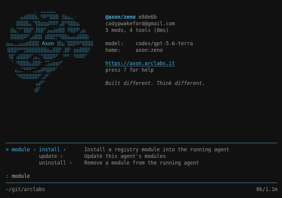 The module command group showing install, update and uninstall, each acting on the running agent