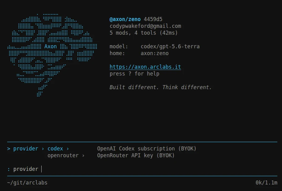 The provider command group listing codex, described as OpenAI Codex subscription (BYOK), and openrouter, described as OpenRouter API key (BYOK)